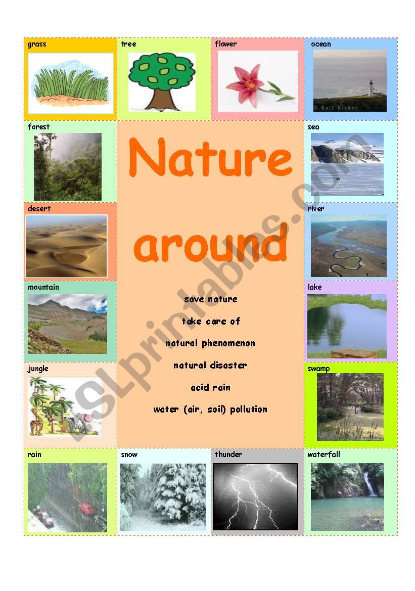 Nature Around worksheet