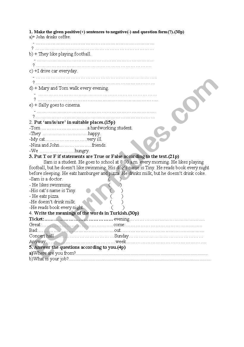 simplepresent test worksheet