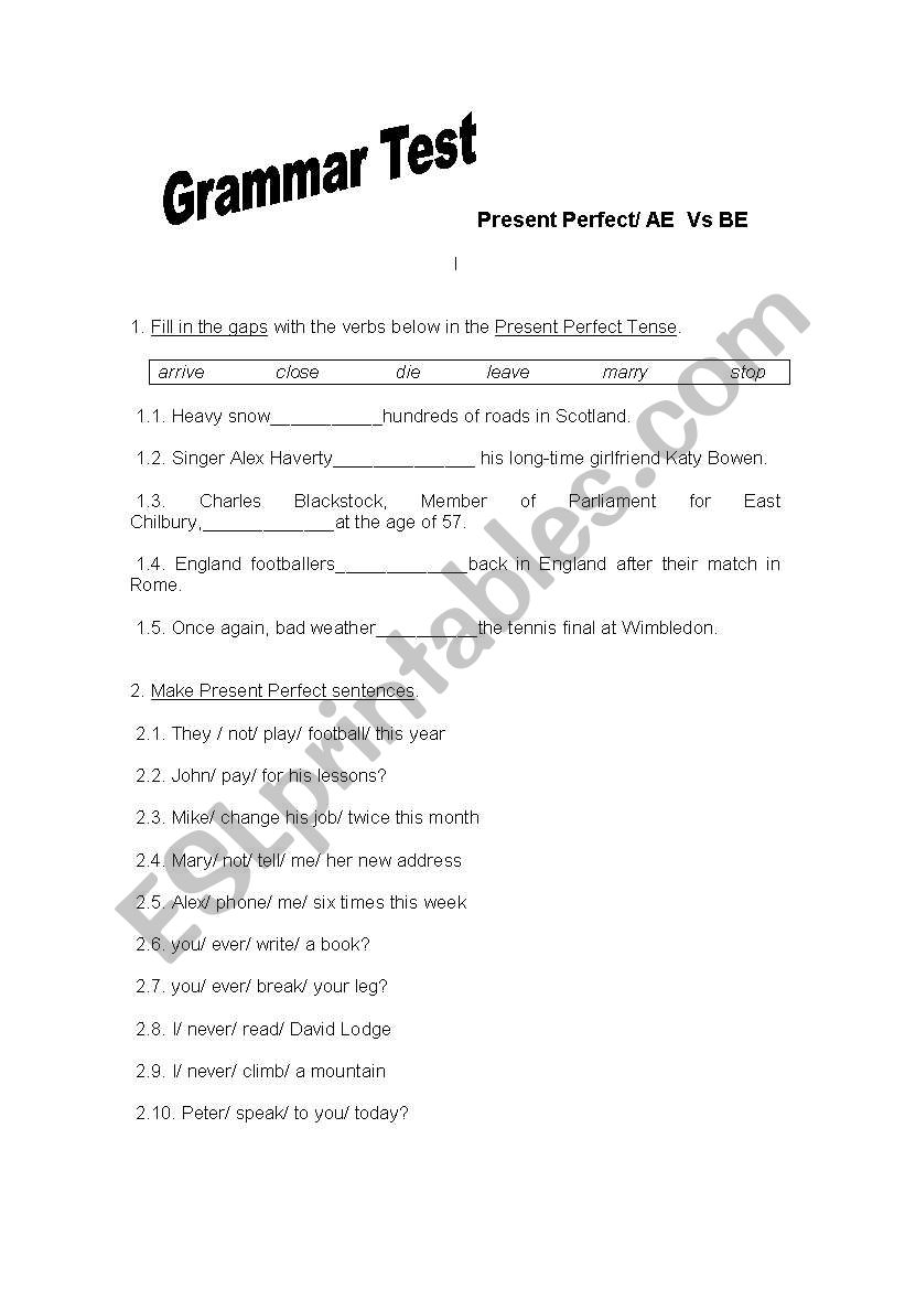 Grammar Test: Present Perfect worksheet
