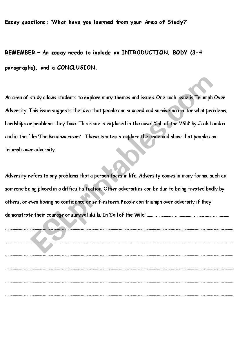 Adversity Essay worksheet