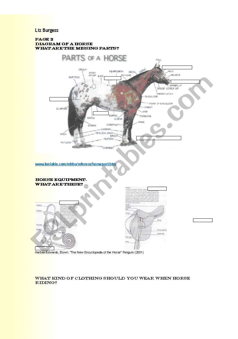 Horses Part 21 - ESL worksheet by lizzyb21 Within Parts Of The Horse Worksheet