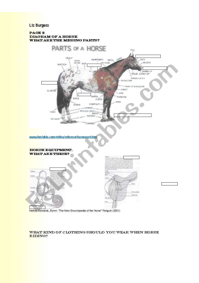 Horses Part 1 worksheet