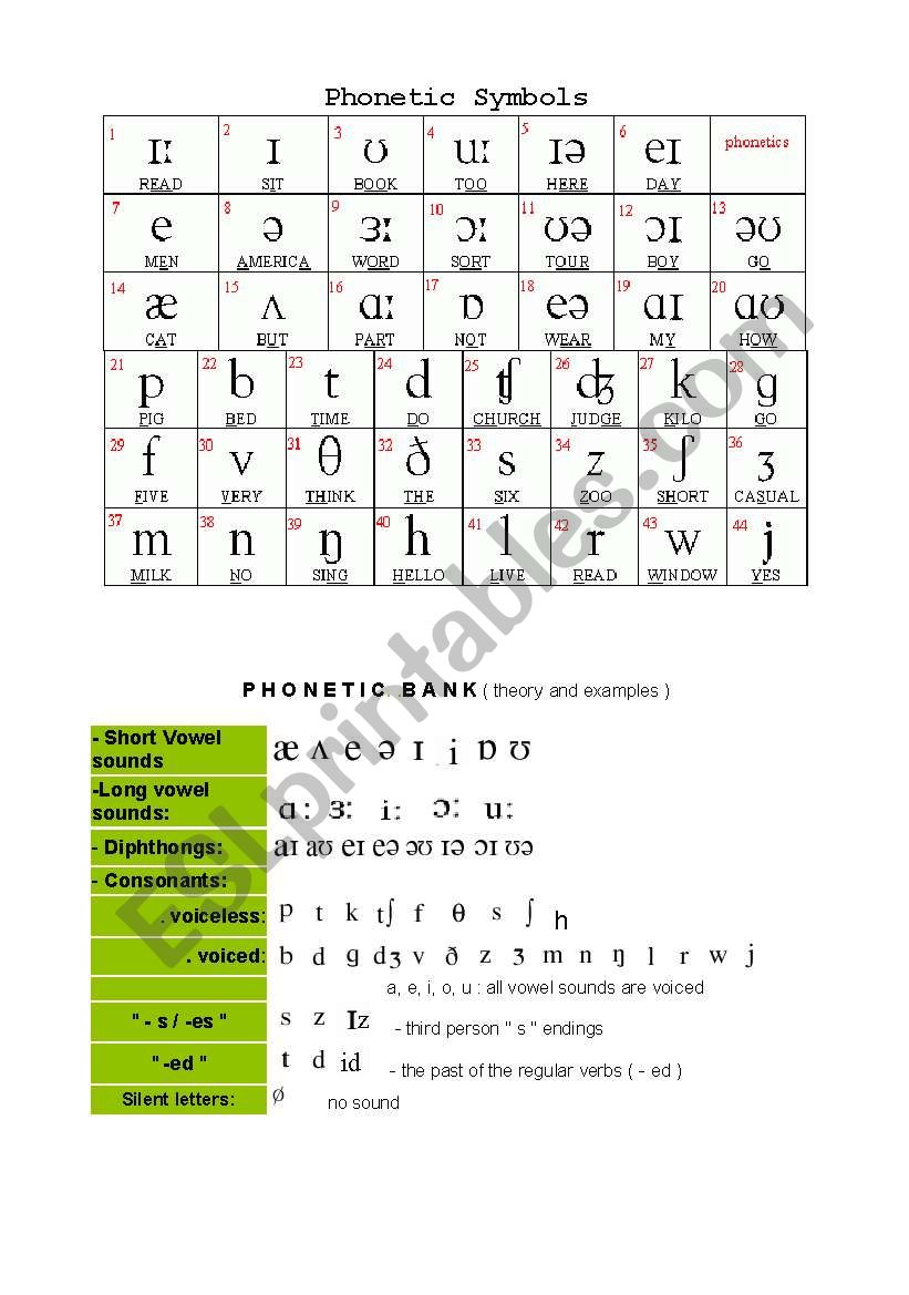 phonetics worksheet