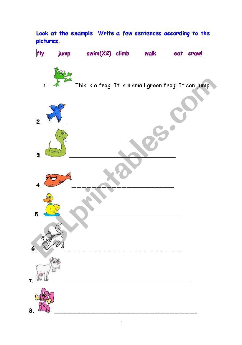 animals worksheet