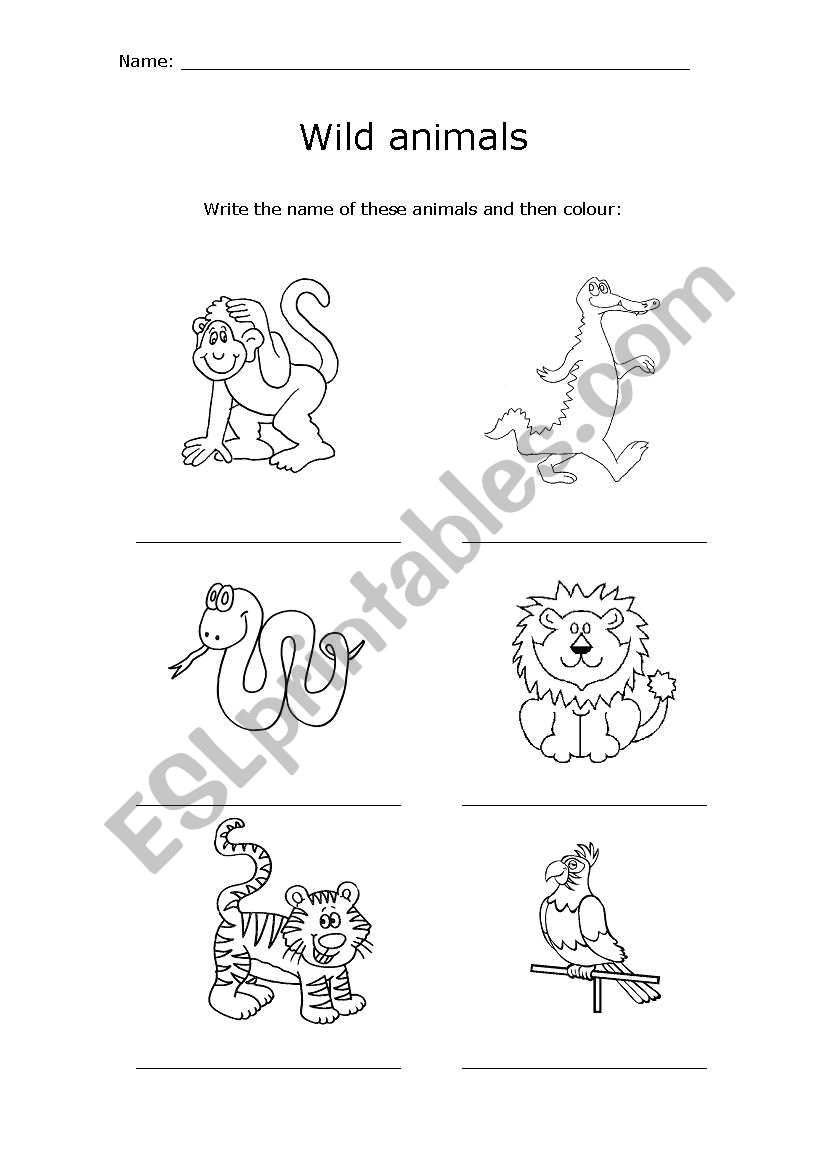 Wild animals worksheet