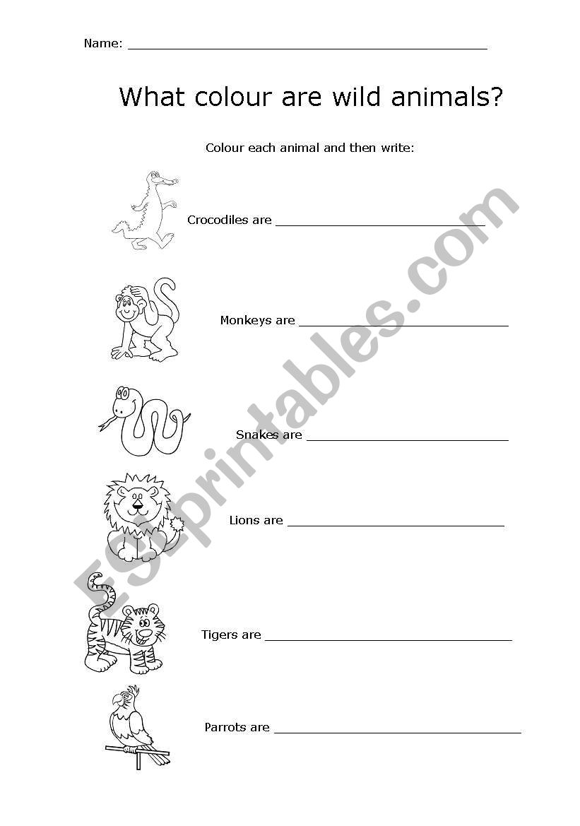 What colour are wild animals? worksheet