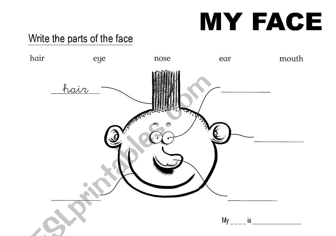 My face worksheet