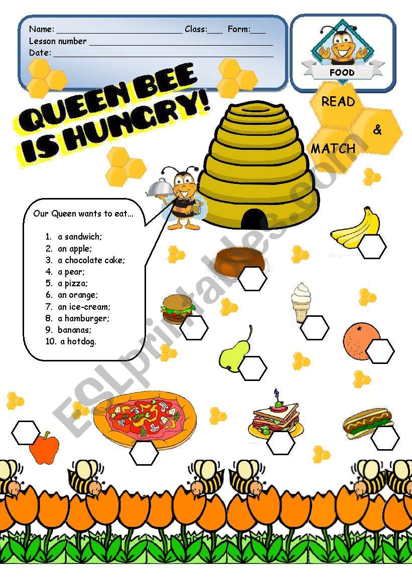 FOOD - Queen Bee is hungry! - 1