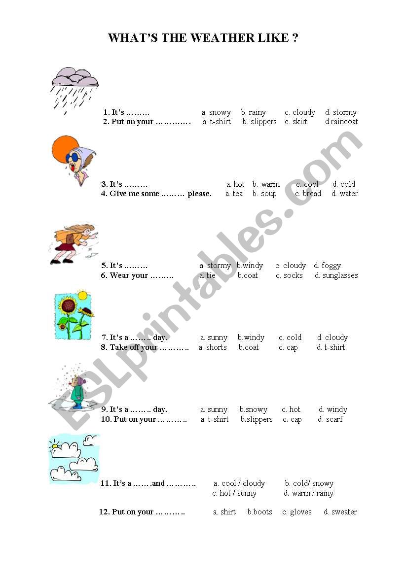 Weather Conditions Test worksheet
