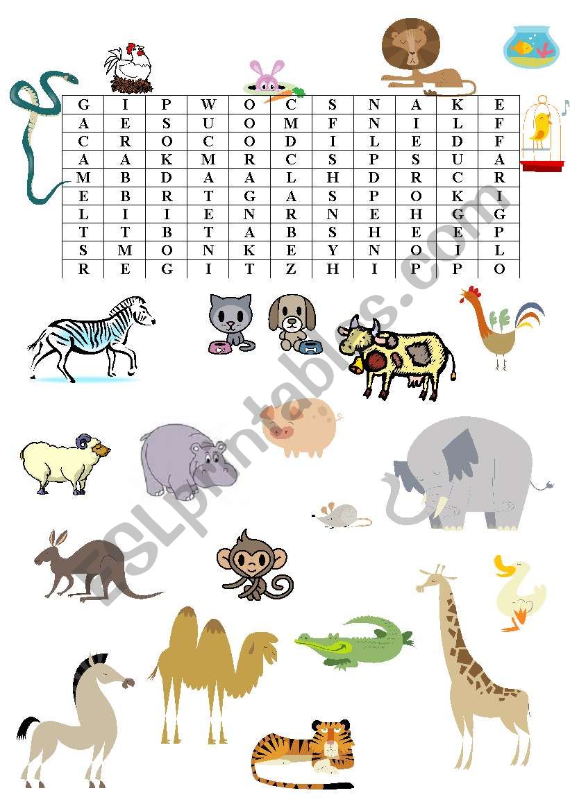 Animal wordsearch worksheet