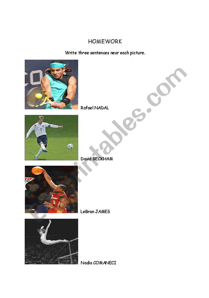 sports worksheet