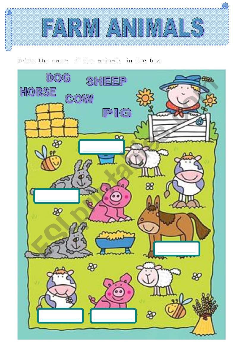 Farm Animals worksheet