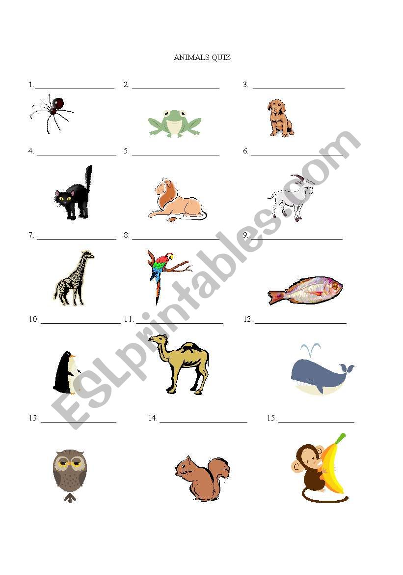 Label the Animals worksheet