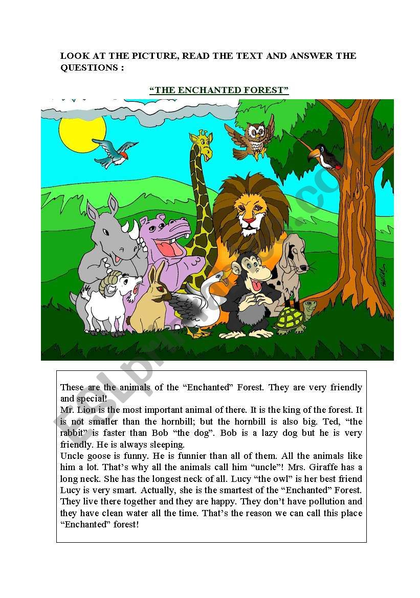 The Enchanted Forest worksheet