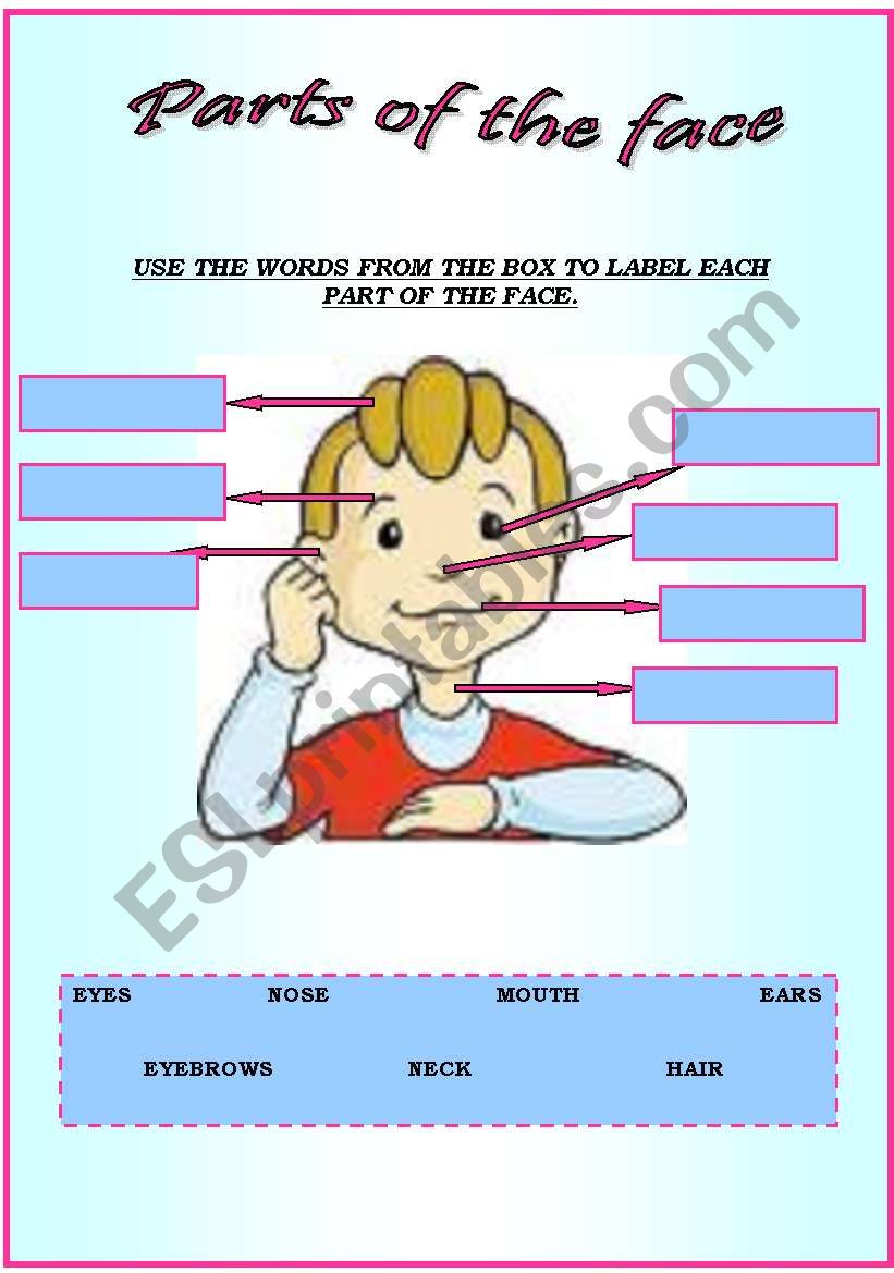 Parts of the face...USE THE WORDS FROM THE BOX TO LABEL EACH PART. - ESL worksheet by sldiaz