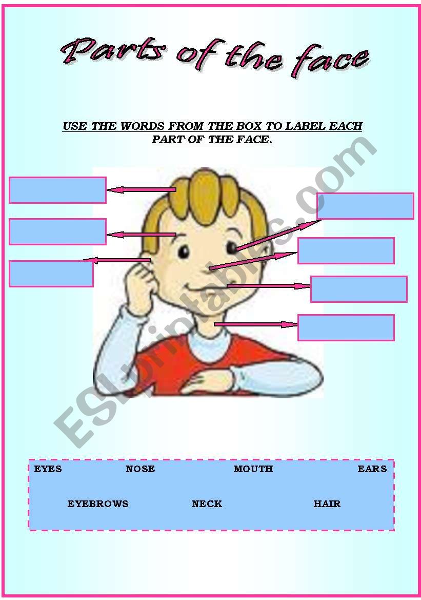 Parts of the face...USE THE WORDS FROM THE BOX TO LABEL EACH PART.