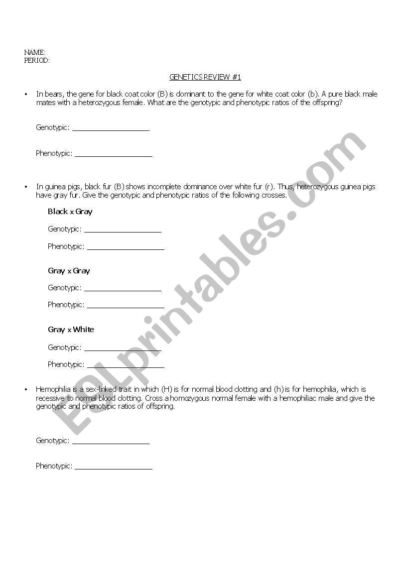 Genetics worksheet