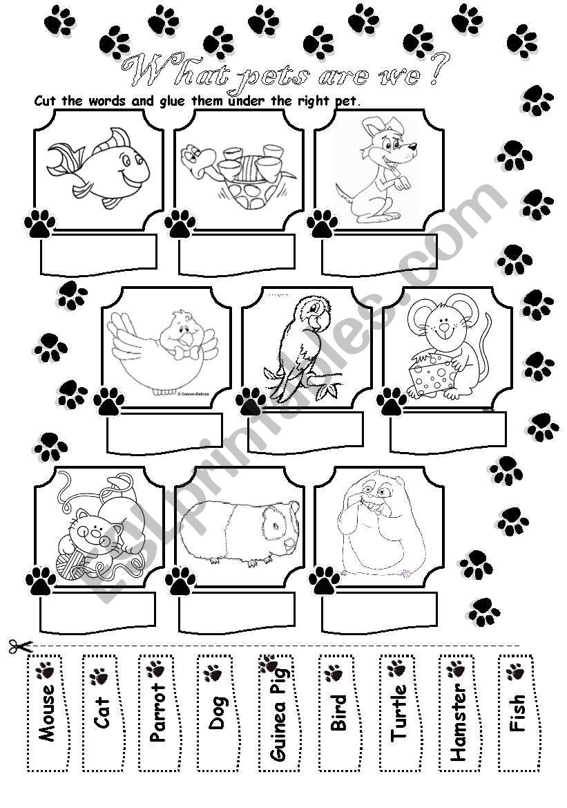 What pets are we? worksheet