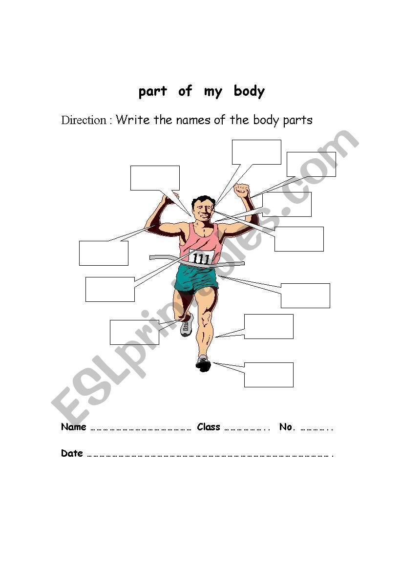 part of the body worksheet