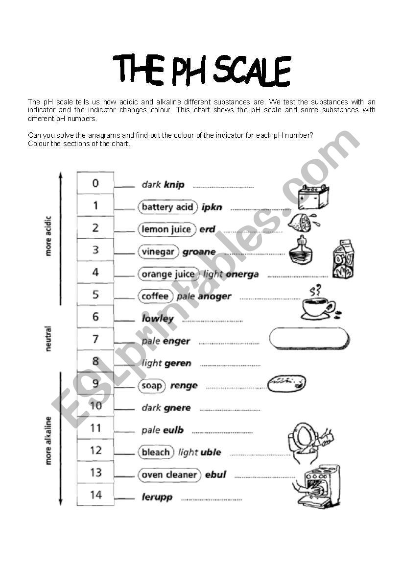 PH scale worksheet