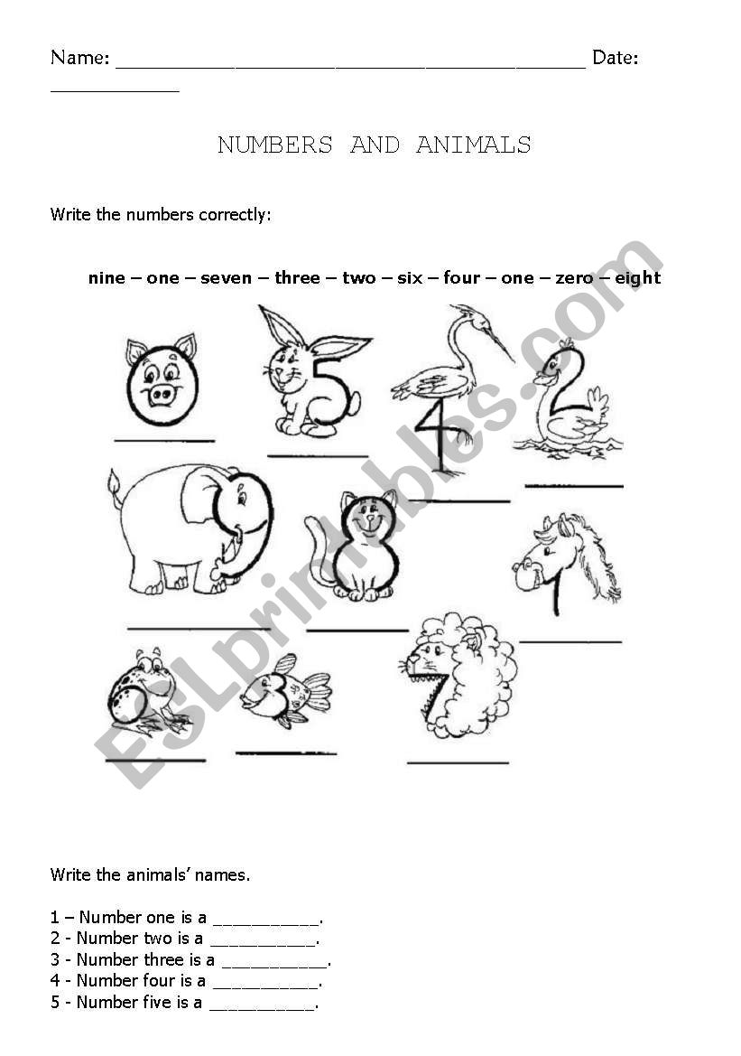 Animals worksheet