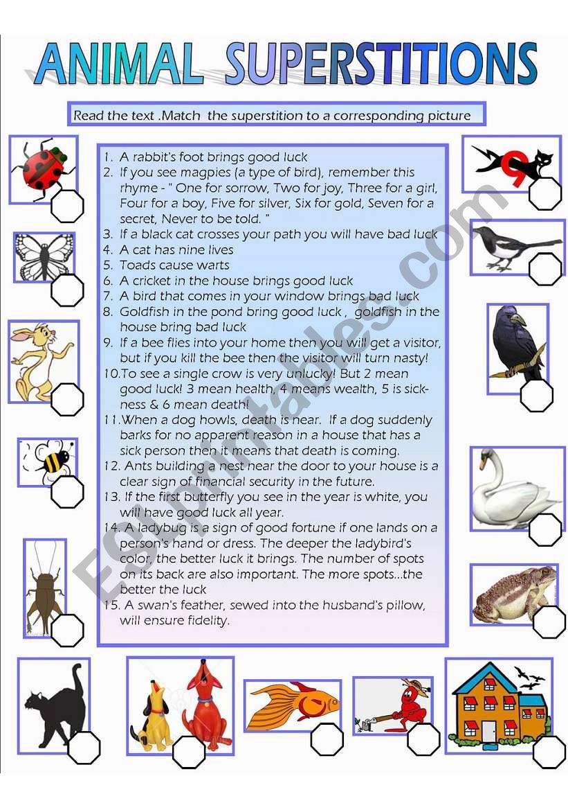 Animal Superstions worksheet