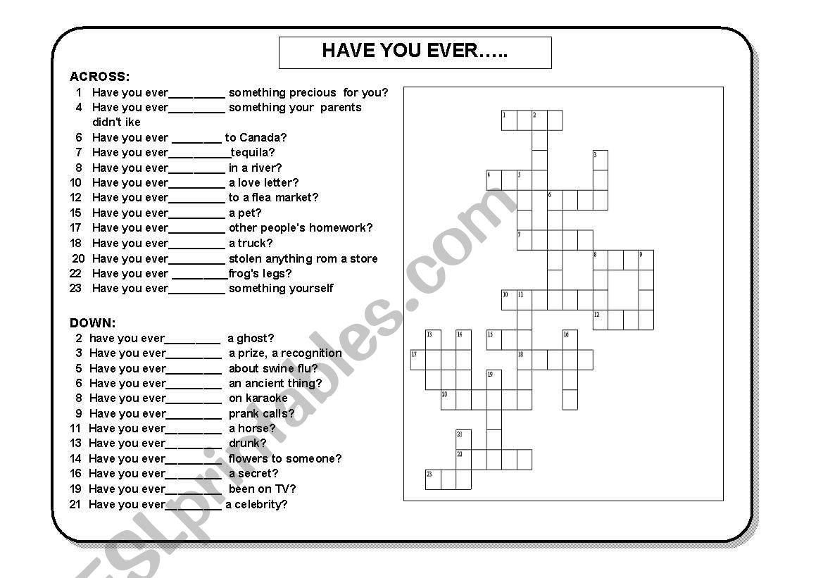 HAVE YOU EVER...? worksheet