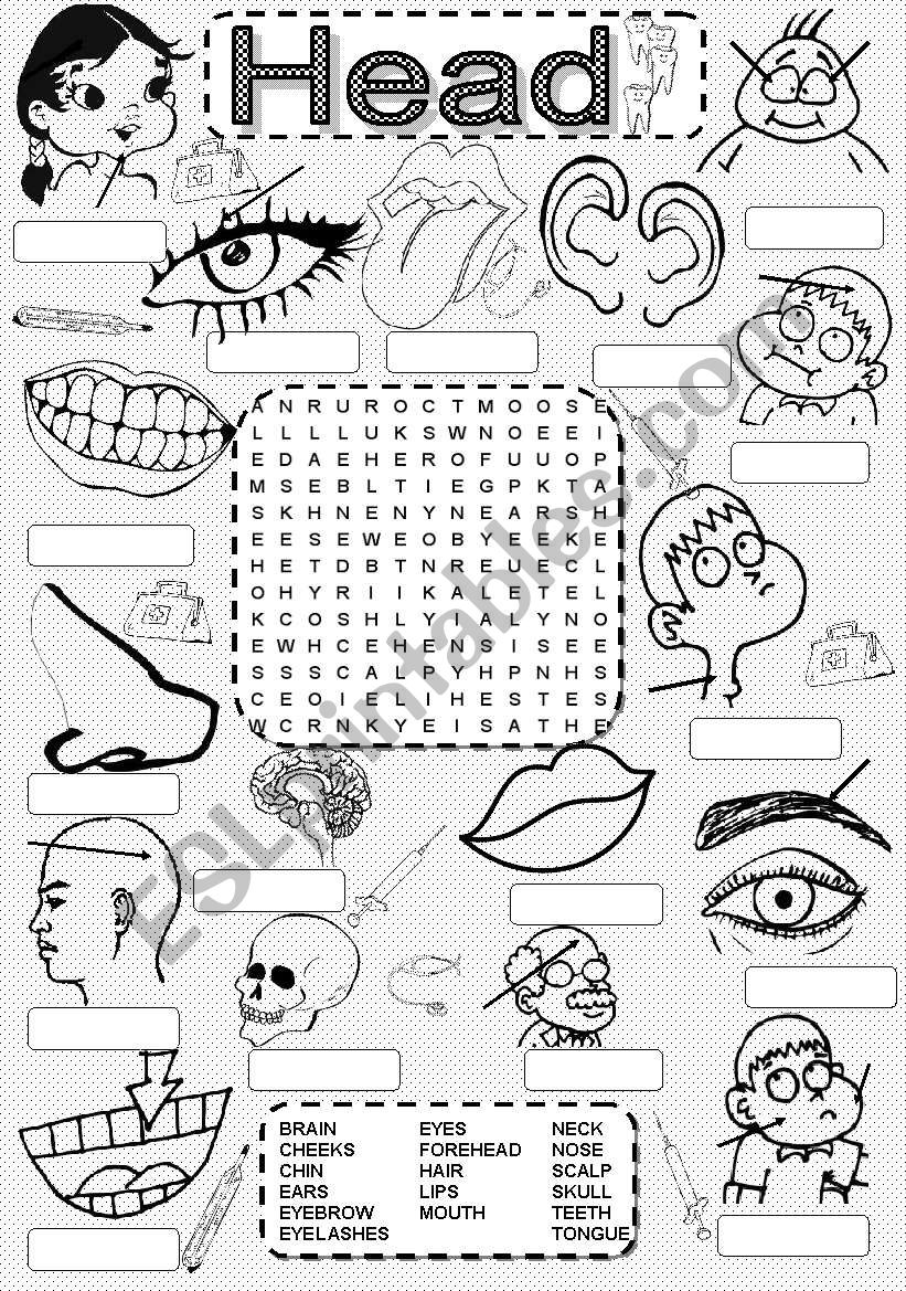 Wordsearch HEAD worksheet