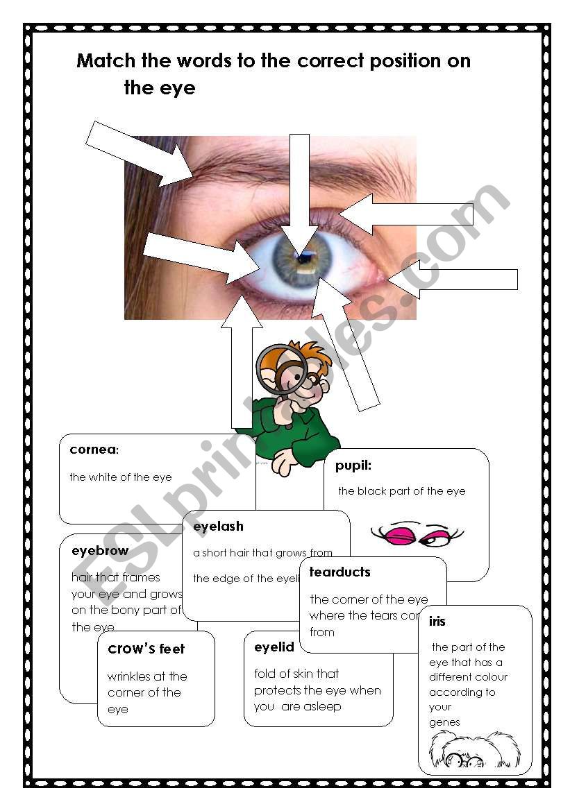 The Eyes have it! worksheet