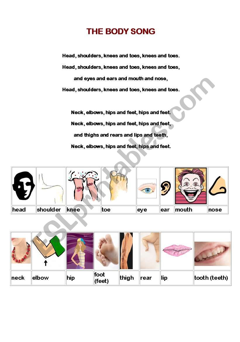 THE BODY SONG worksheet