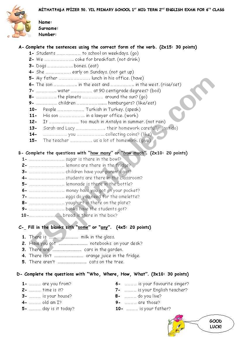 sample exam for 6th class students