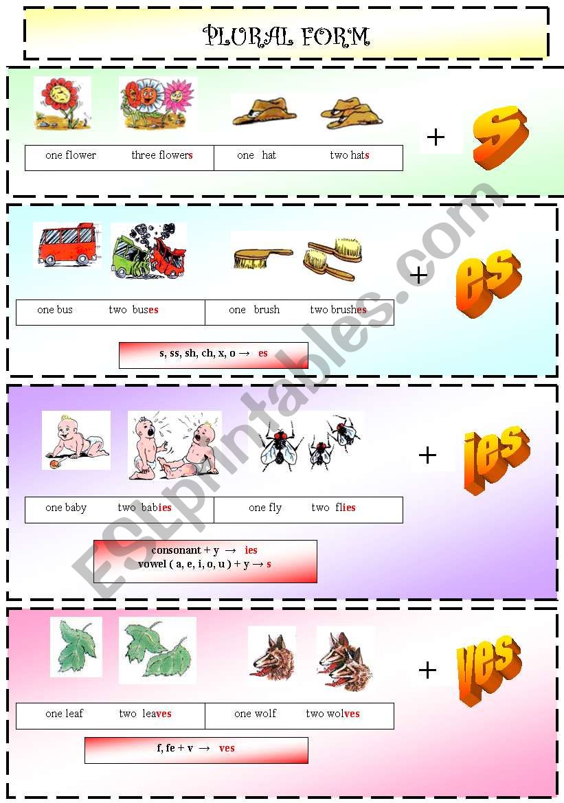 Plurals 1/4 worksheet