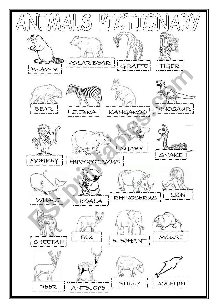 Animals pictionary worksheet