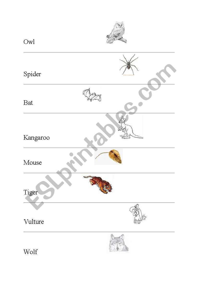 animals by miki 3 worksheet