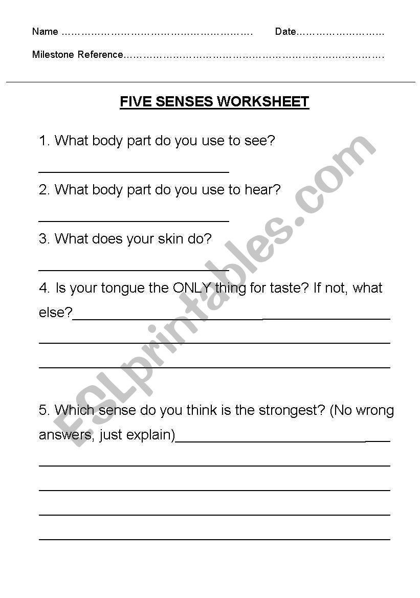 The five sences worksheet