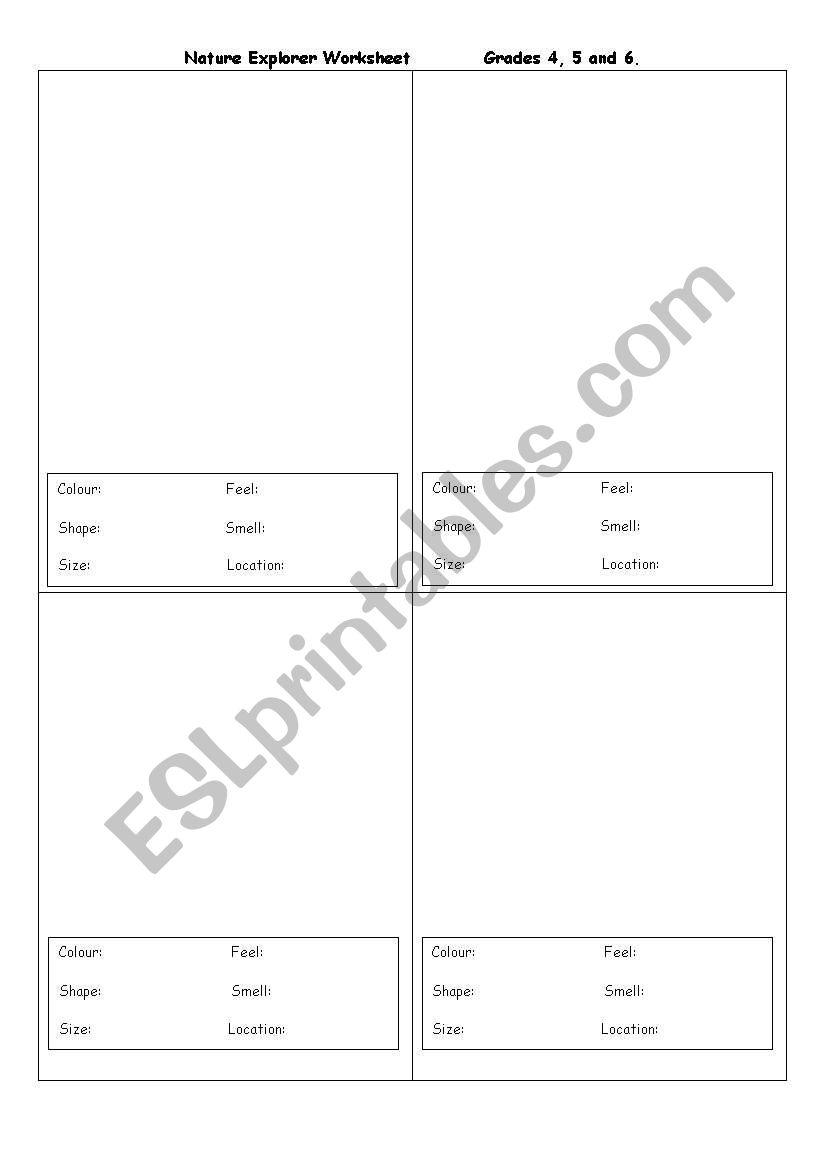 Nature Explorer Worksheet (Leaves)