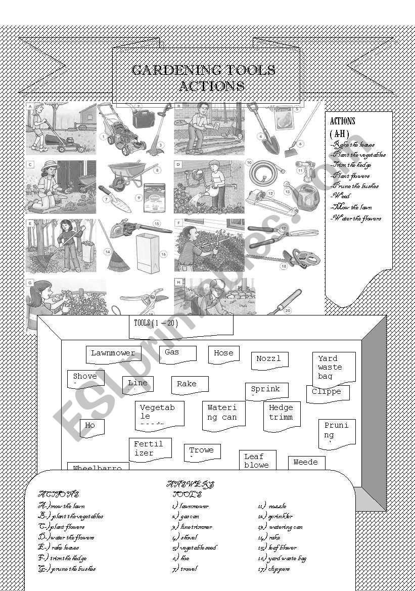 GARDEN TOOLS AND ACTIONS worksheet