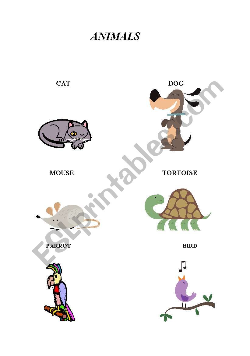 ANIMALS worksheet