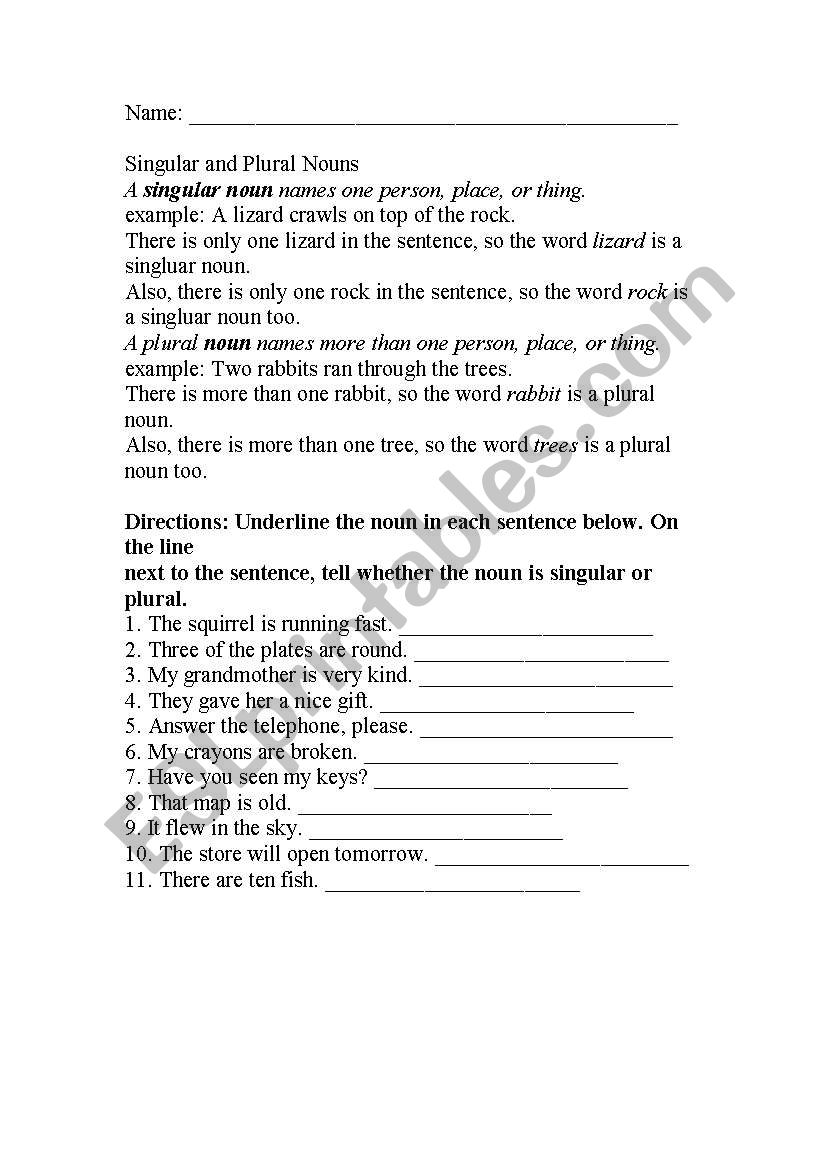 Singular and Plural Nouns worksheet