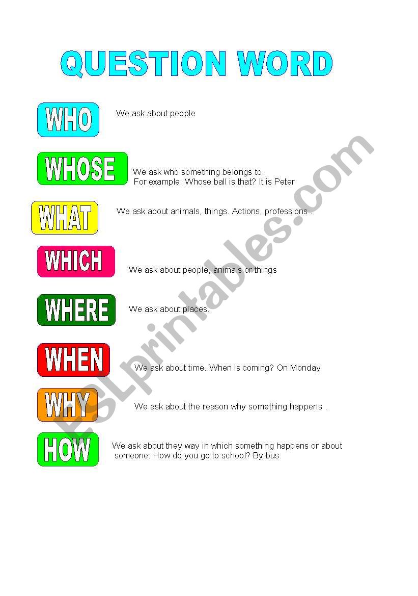 question words worksheet