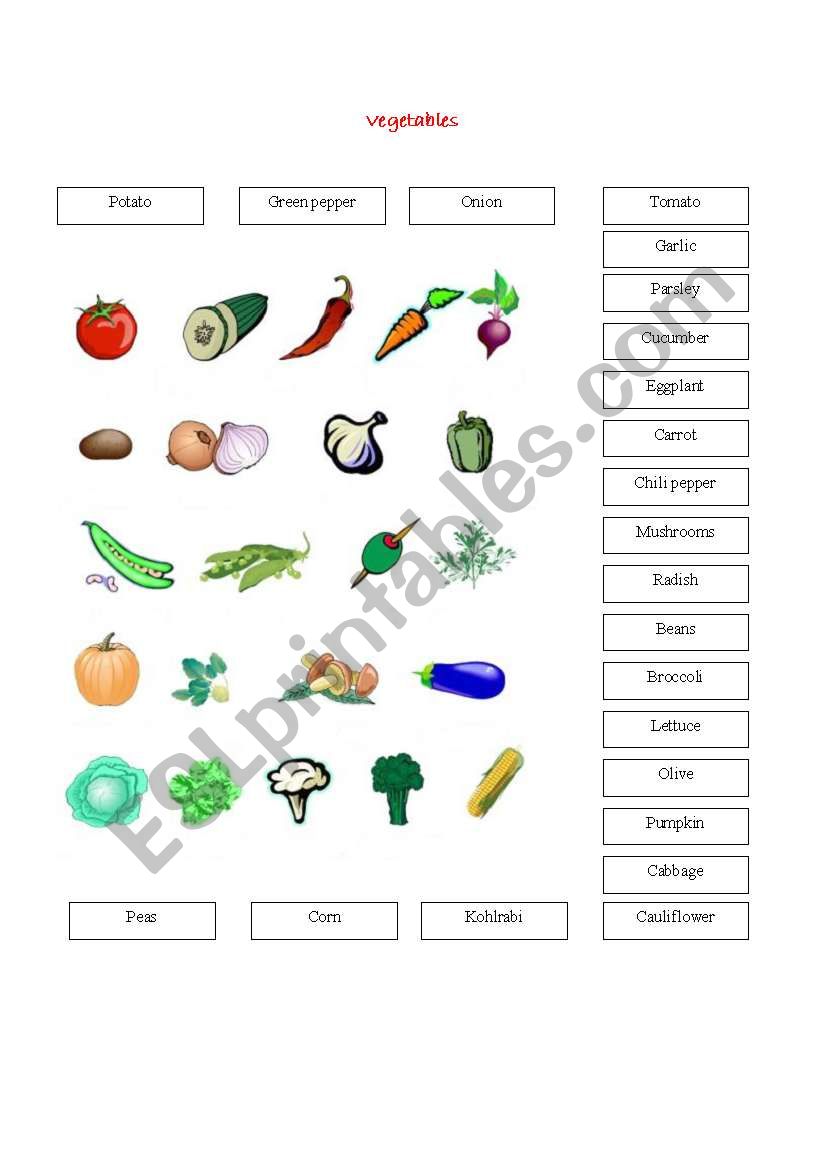 food and drinks  exercise worksheet