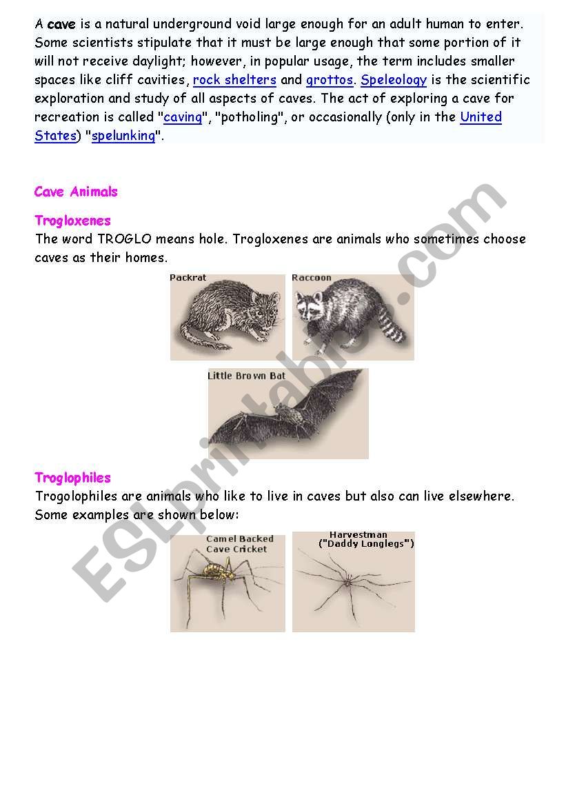 Cave Critters worksheet