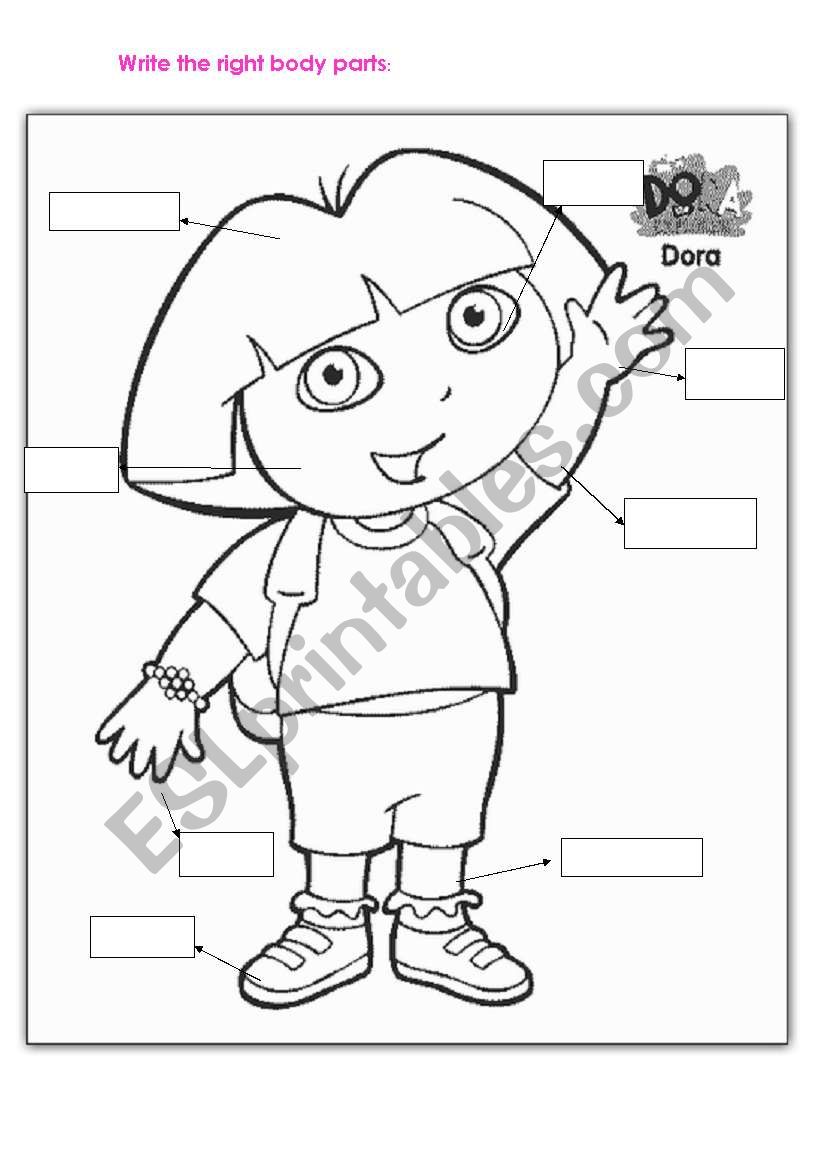 write the right body parts worksheet