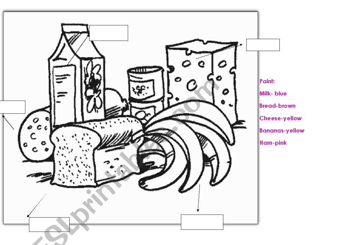 write the right name of each food element