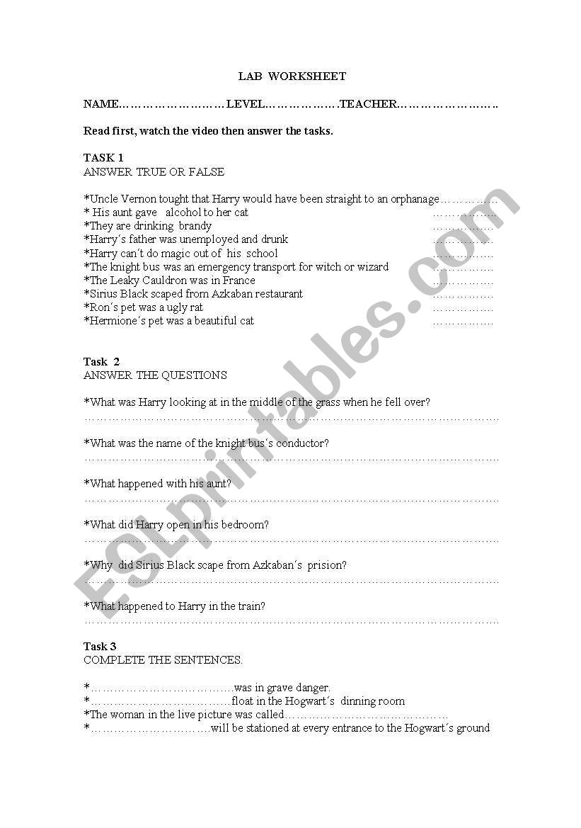 harry p.. worksheet
