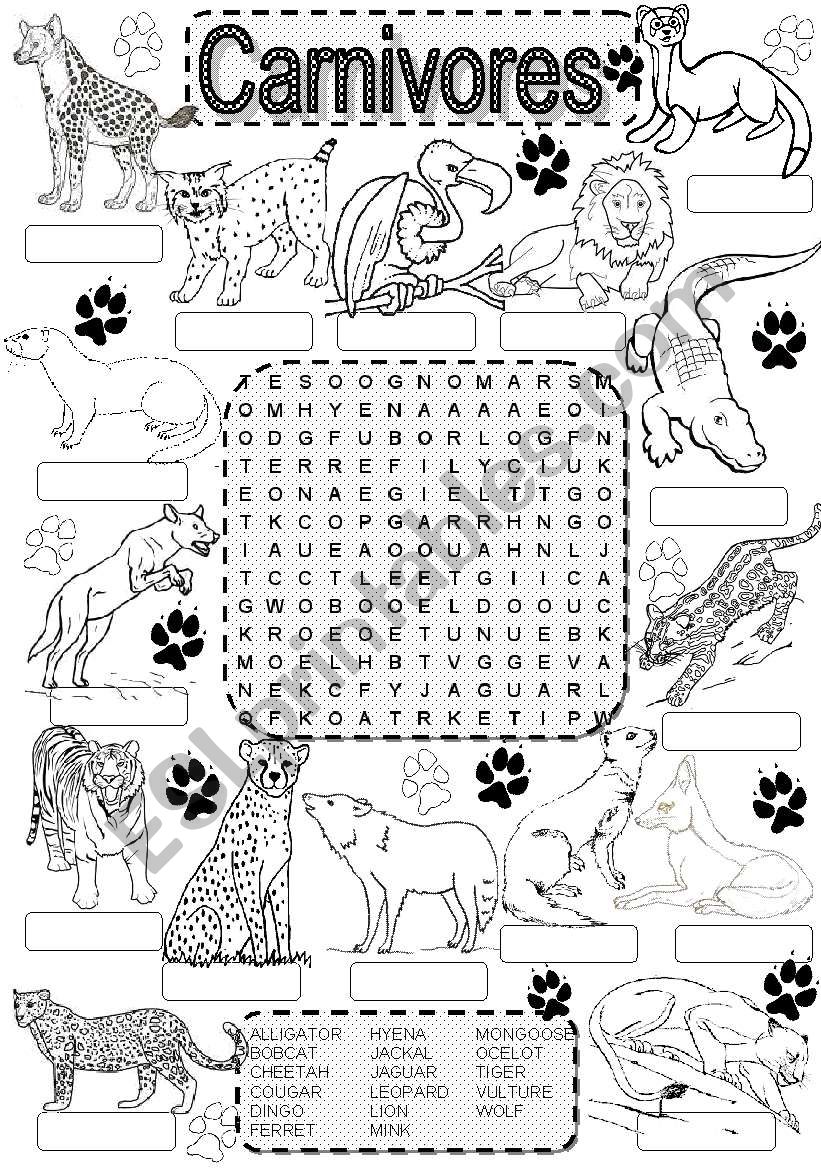 Wordsearch CARNIVORES worksheet