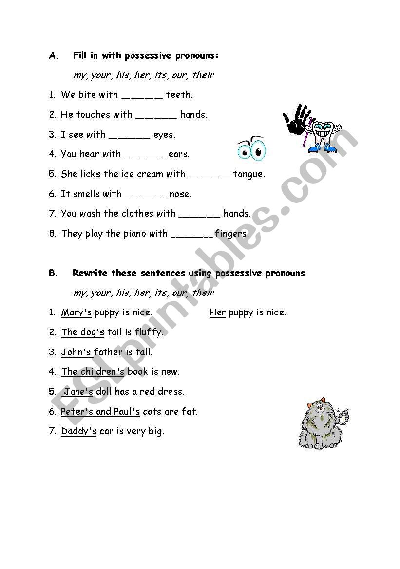 Possessive pronouns worksheet