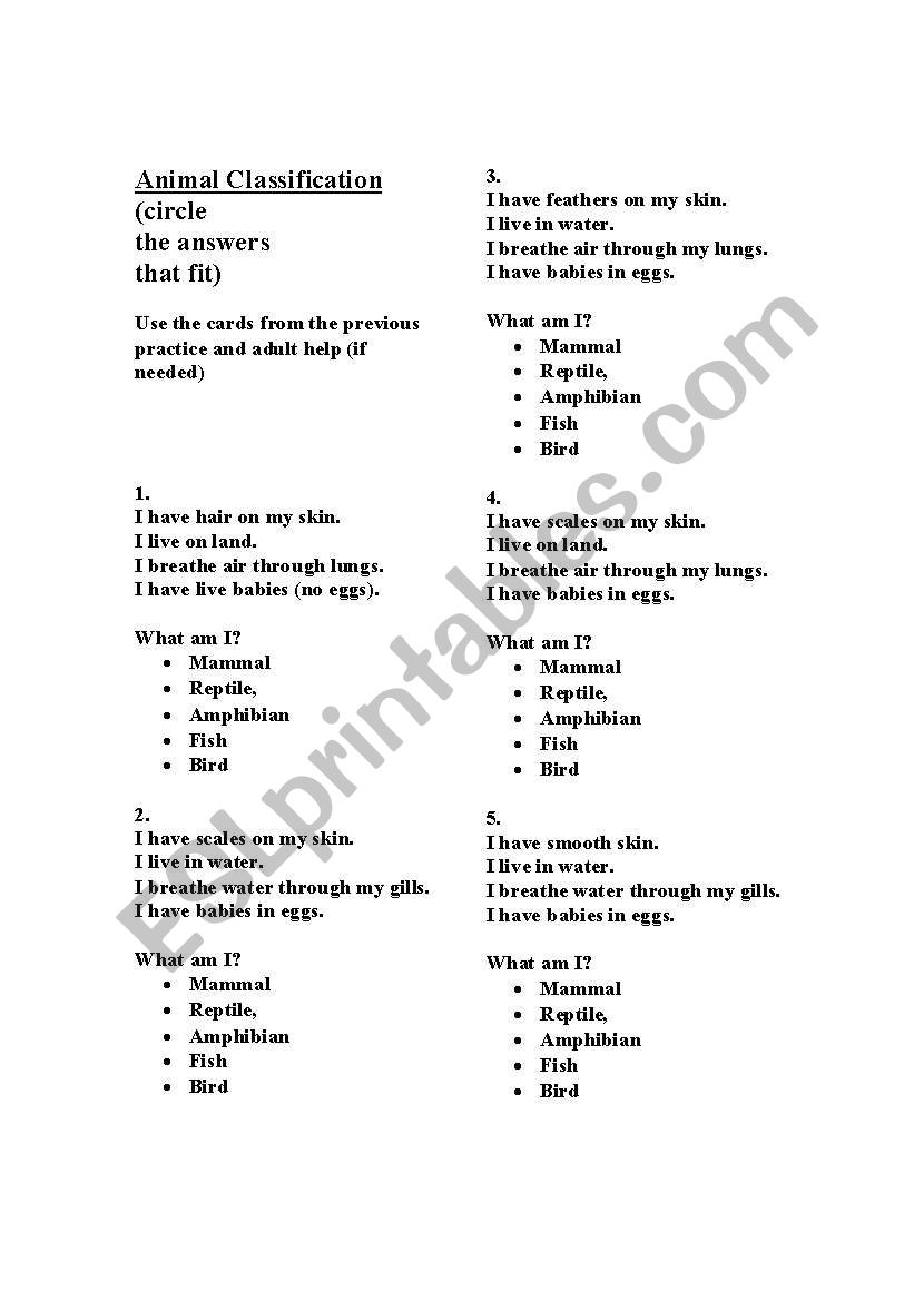 Animal Classification Quiz worksheet