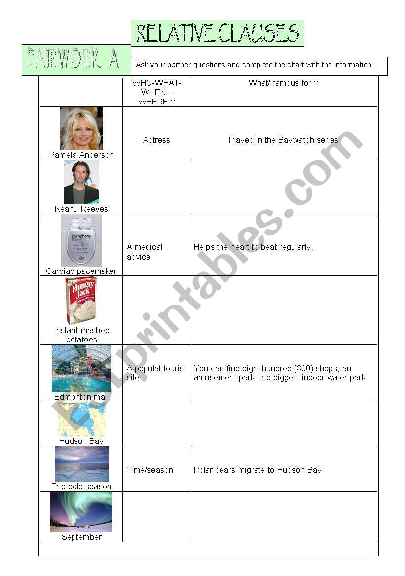 RELATIVE CLAUSES PAIRWORK worksheet