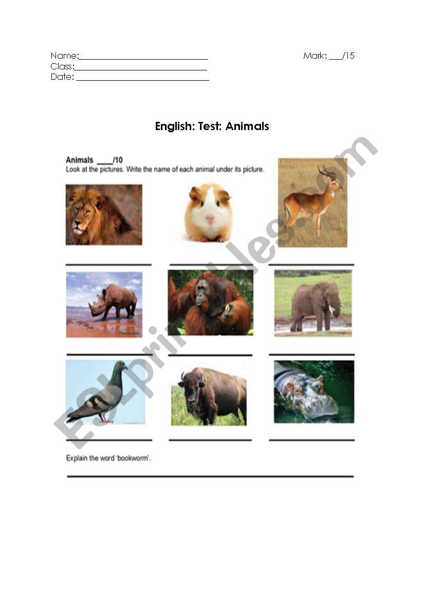 Animals: test or exercise worksheet